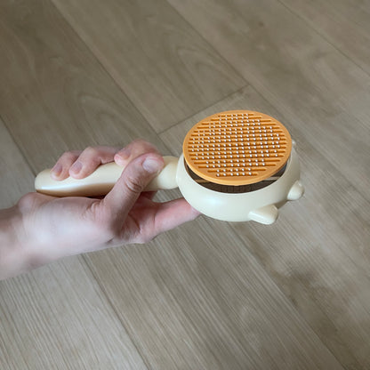 Brosse avec bouton de retrait de poils